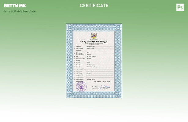 Модерен стил на Намибија, шаблон за шаблон за PSD сертификат за смртен рекорд од